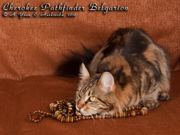   - Cherokee Pathfinder Belgarion