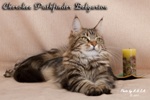   - Cherokee Pathfinder Belgarion