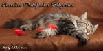   - Cherokee Pathfinder Belgarion