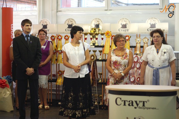 Судьи выставки «Кубок «Стаут» – 2011» Судьи выставки «Кубок «Стаут» – 2011»