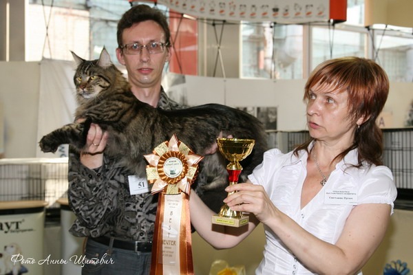 Best In Show второго дня выставки. Crusader Belgarion — Best Neuter Best In Show второго дня выставки. Crusader Belgarion — Best Neuter